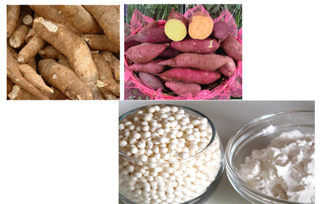 Cassava|Potato Flour Processing Line