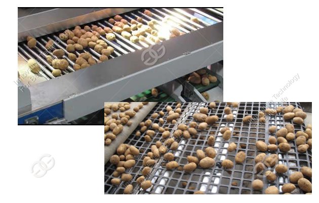 potato sorting machine