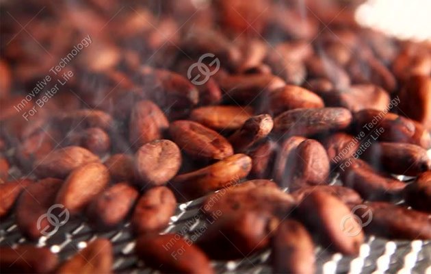 roast cocoa bean machine