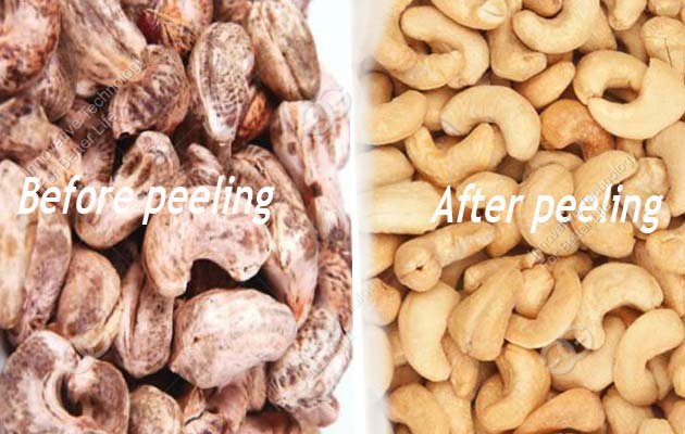 cashew nut kernels peeler