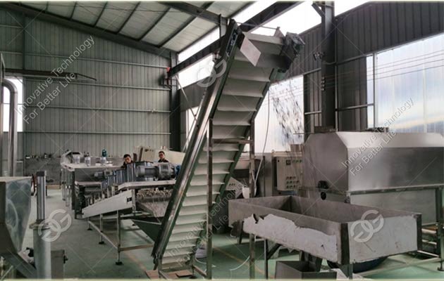 sunflower seed processing line
