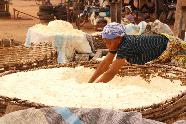 1000kg/h Cassava Flour Making L