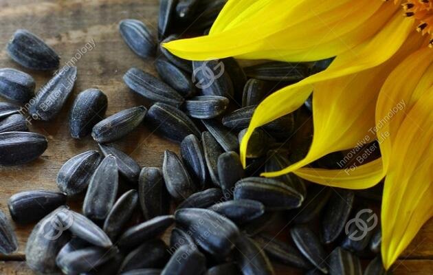 Sunflower Seed Roasting Machine Sold to Dubai