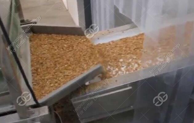 Peanut Peeling and Grinding Machine Sold to Iran