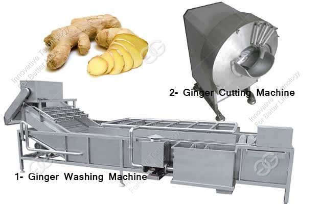 Ginger Washing Cutting Producti