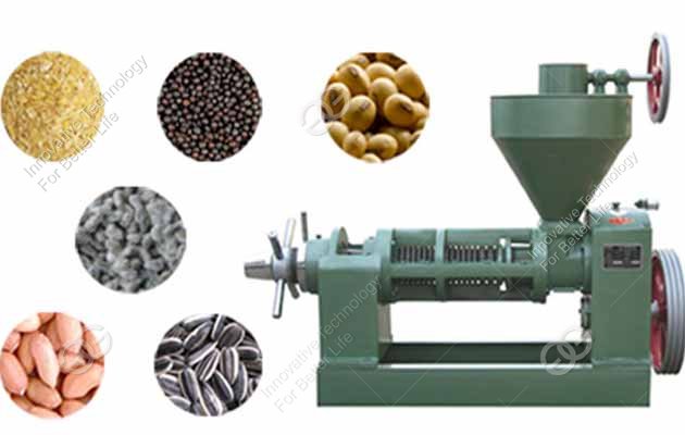  Screw Oil Press Machine For Pea 