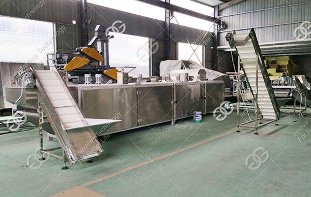Automatic Sunflower Seed Roasting Processing Line