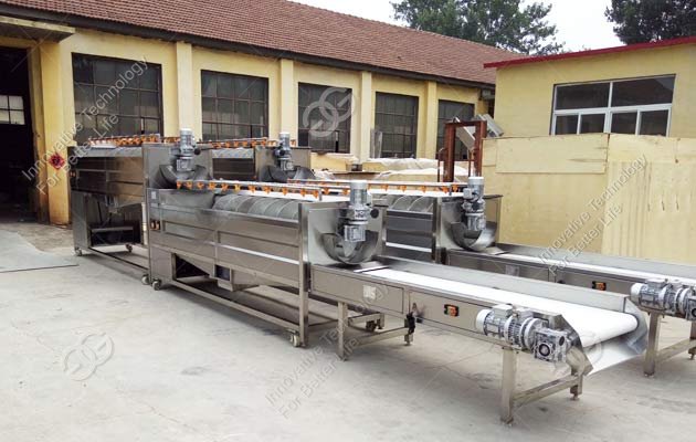 Potato Cassava Vegetable Washing Peeling Line