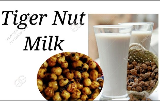 Tiger Nut Milk Processing Machine In Nigeria