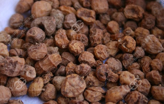 Tiger Nuts