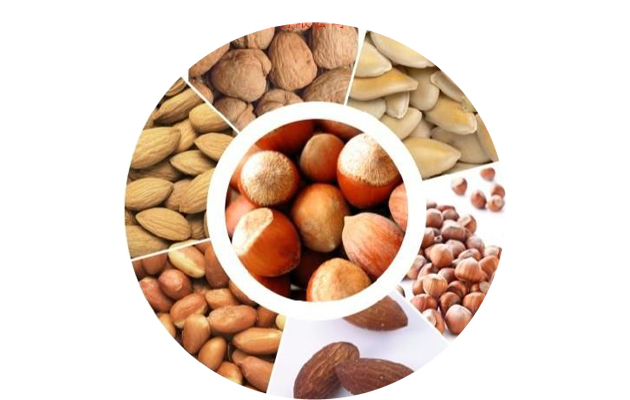 Automatic Peanut Roasting Machine Price