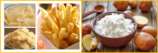 potato processing machine