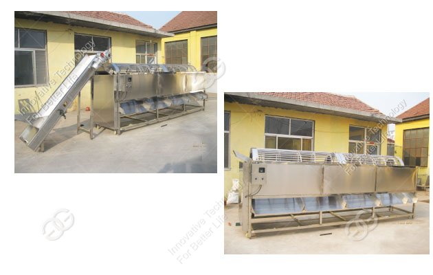 potato sorting machine