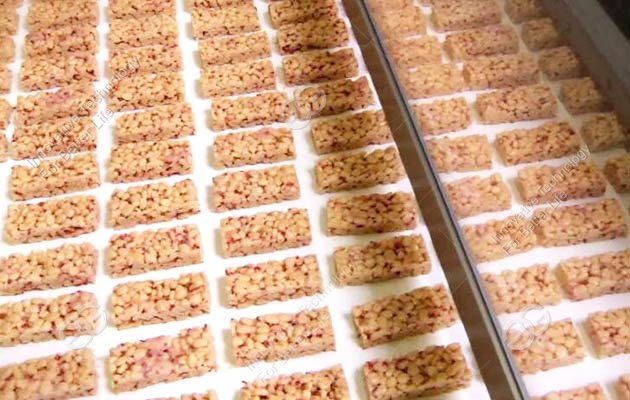Granola Bar processing line
