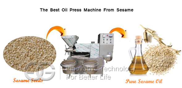 sesame oil press