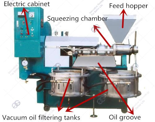 seed oil press machine for sale
