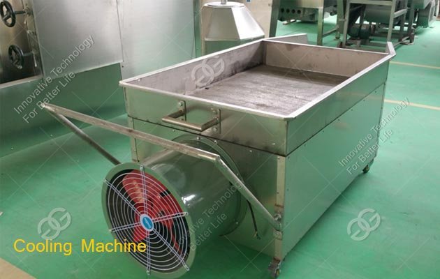 Japanese Peanut Processing Equipment