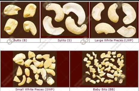 cashew nut cut