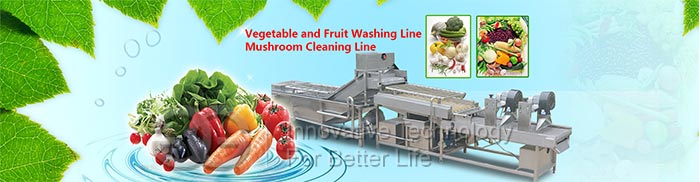 fruit vegetable cleaner machine