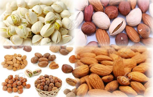 nuts roasting equipment