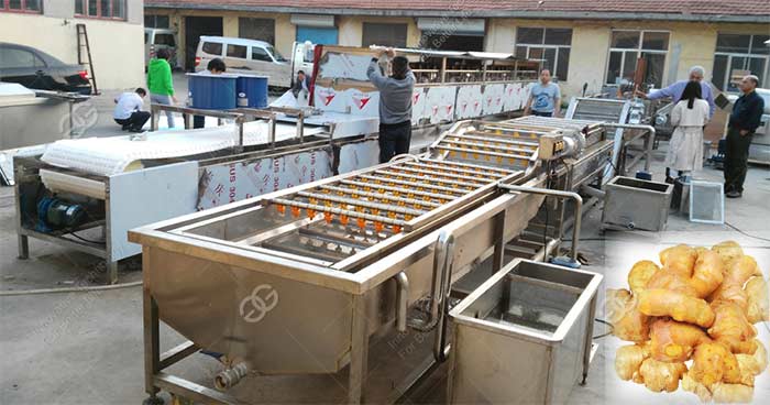 ginger washing machine