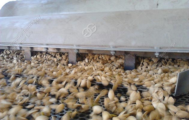 melon seed shelling machine