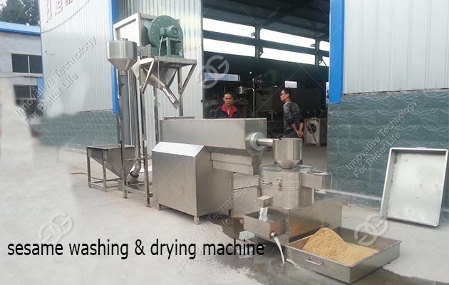 sesame cleaning drying machine