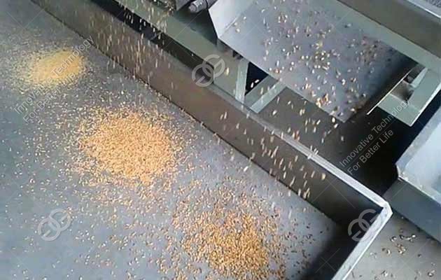 peanut cutting machine