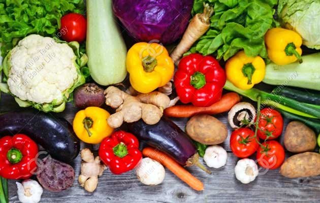 Vegetable Washing Machine