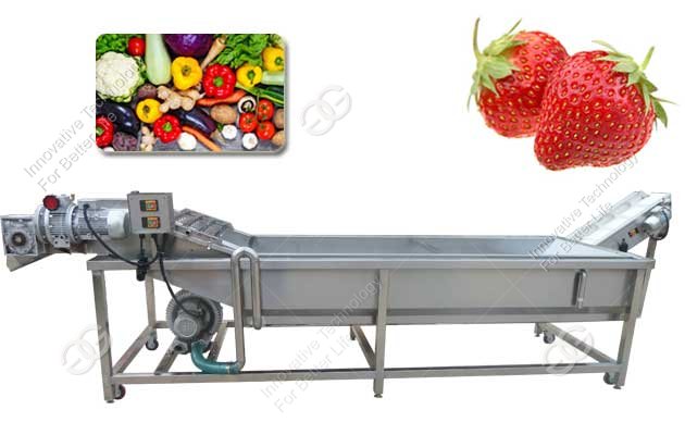 Fruit Washing Machine For Sale