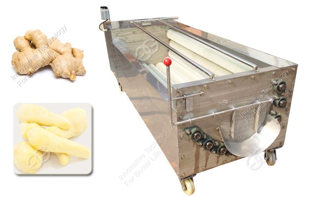 Industrial Ginger Washing and Peeling Machine - Ginger Peeler Machine