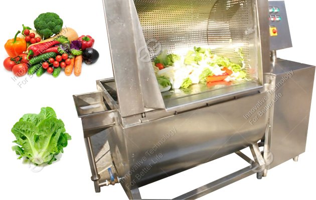 Vegetable Washing Machine