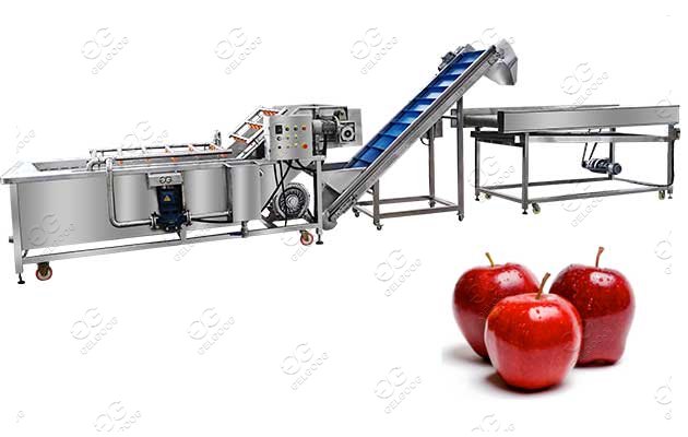 Washing Strawberry Machine